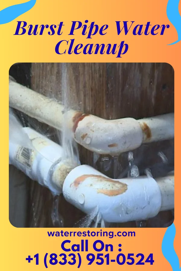 Burst Pipe Water Cleanup in Queen City, MO