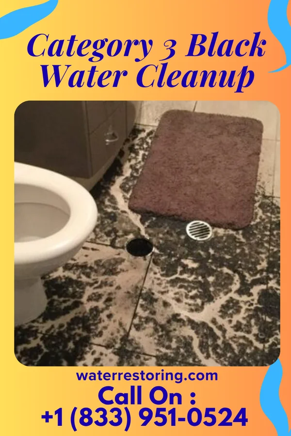 Category 3 Black Water Cleanup in Queen City, MO