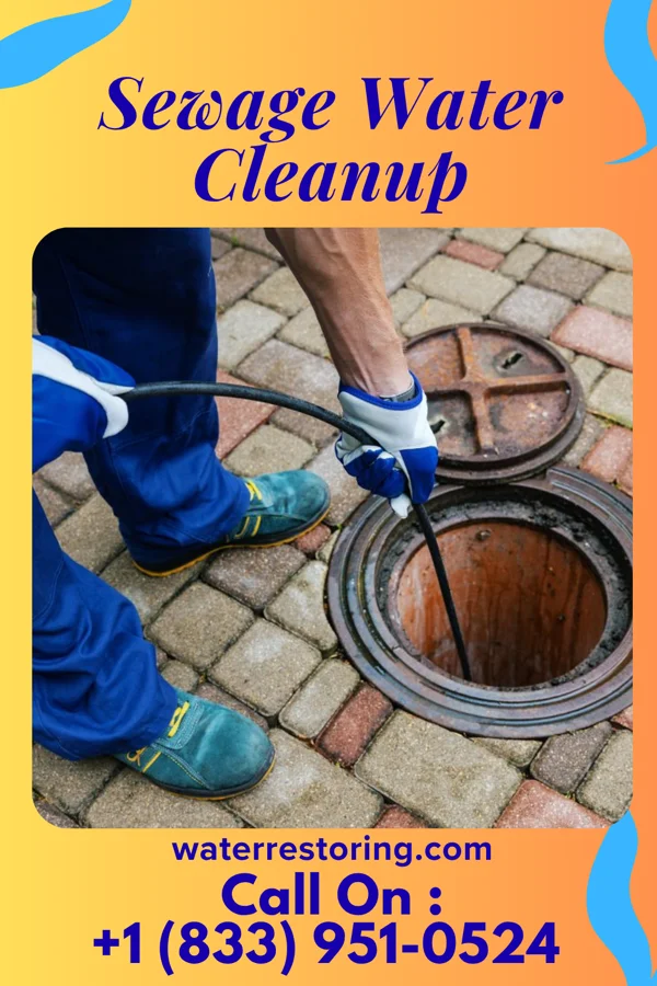 Sewage Water Cleanup in Queen City, MO