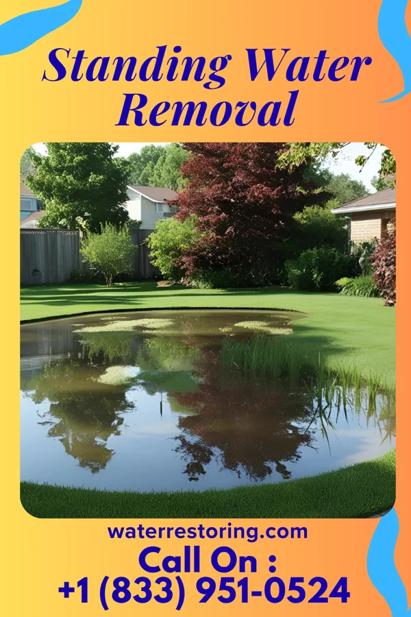 Standing Water Removal in Queen City, MO
